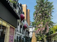-巴厘龙虾·榜首油焖大虾(沙湖·花园店)