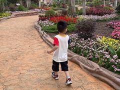-丹樱生态园