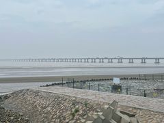 -南汇新城海滩
