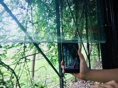 -合肥滨湖国家森林公园