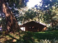 -王借岗森林公园