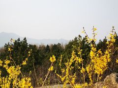 -白水寺森林公园