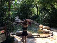 -天目湖涵田半山温泉