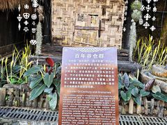 -海南槟榔谷黎苗文化旅游区