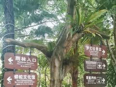-呀诺达热带雨林