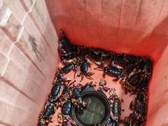 -岛中岛·海鲜大排档·万宁老字号(东澳店)