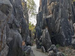 -玉石林风景区