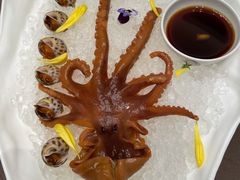 冰镇八爪鱼和花螺-神仙馆(衡山路店)