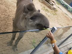 -西霞口神雕山野生动物世界