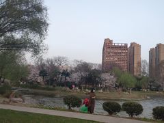 -堤角公园