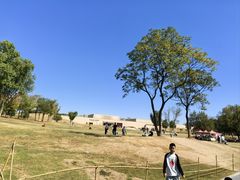 -盘龙城国家考古遗址公园