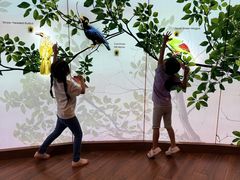 -新加坡飞禽公园