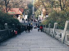 -东湖磨山景区