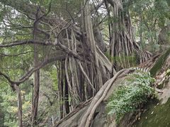 -乌山风景区