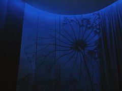 -泰迦 泰式古法抓胧筋水疗SPA