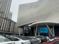 -南京国际青年文化中心