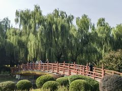 -元大都城垣遗址公园