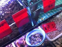 -金海湾海鲜排档(朱家尖店)