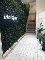 点击看大图 -悦诗风吟innisfree