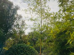 -郑州银基黄帝宫御温泉