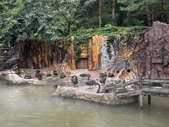 -燕塞湖鸟语林景区