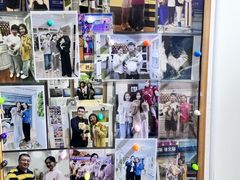 -青奢宠物·青奢猫舍