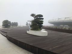 -演武大桥观景平台