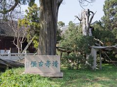 -司徒庙