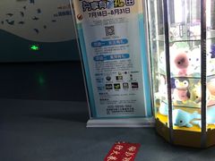 -芜湖新华联大白鲸海洋公园