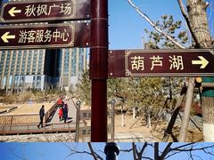 -西海子公园