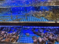 水产区-鸽子侯·家宴·平价海鲜(绿地店)