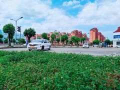 -小昆山驾校·基地自营(松江大学城实体店)