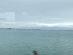 -七鲜渔港美食餐厅(巽寮湾海景店)