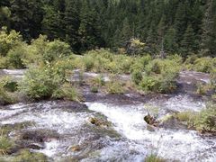 -九寨沟-树正沟