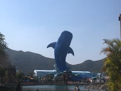 -珠海长隆海洋王国
