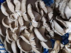 -永兴食杂店烘焙坊(新年蛋糕店)