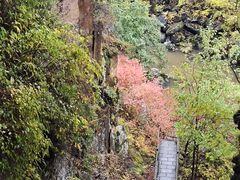 -茅兰沟国家森林公园