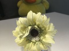 -Awfully Chocolate(嘉里城店)