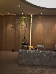 -VELEE·SPA高定疗愈会所