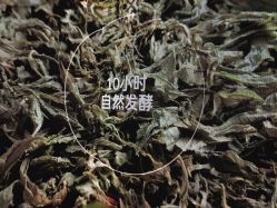 -悦诗风吟innisfree