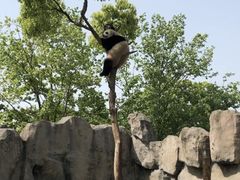 -上海野生动物园