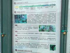 -嘉定紫藤园