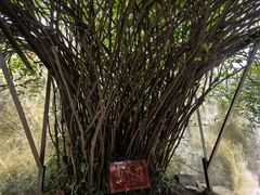 -乌镇东栅景区-茅盾故居