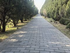 -秦始皇帝陵博物院-丽山园