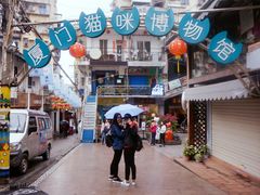 -猫咪博物馆(顶澳仔猫街店)