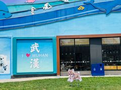 -海合安武汉极地海洋公园