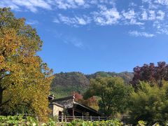 -塔川景区