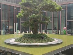 -上海崇明金茂凯悦酒店