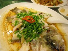 -六婶西关小厨(光塔路店)