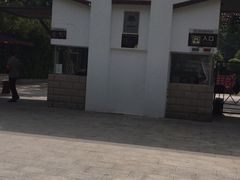 -金花茶公园